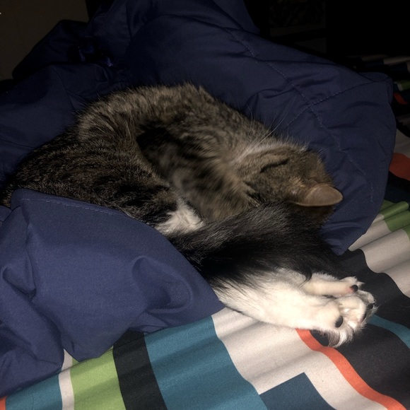 Meet your Posher, Traci - Picture 5 of 5